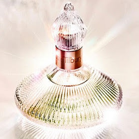 Charlotte Tilbury Scent of hotsell a Dream Perfume