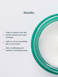 The Light Moisturiser