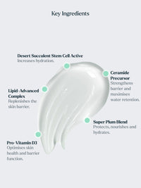 The Light Moisturiser