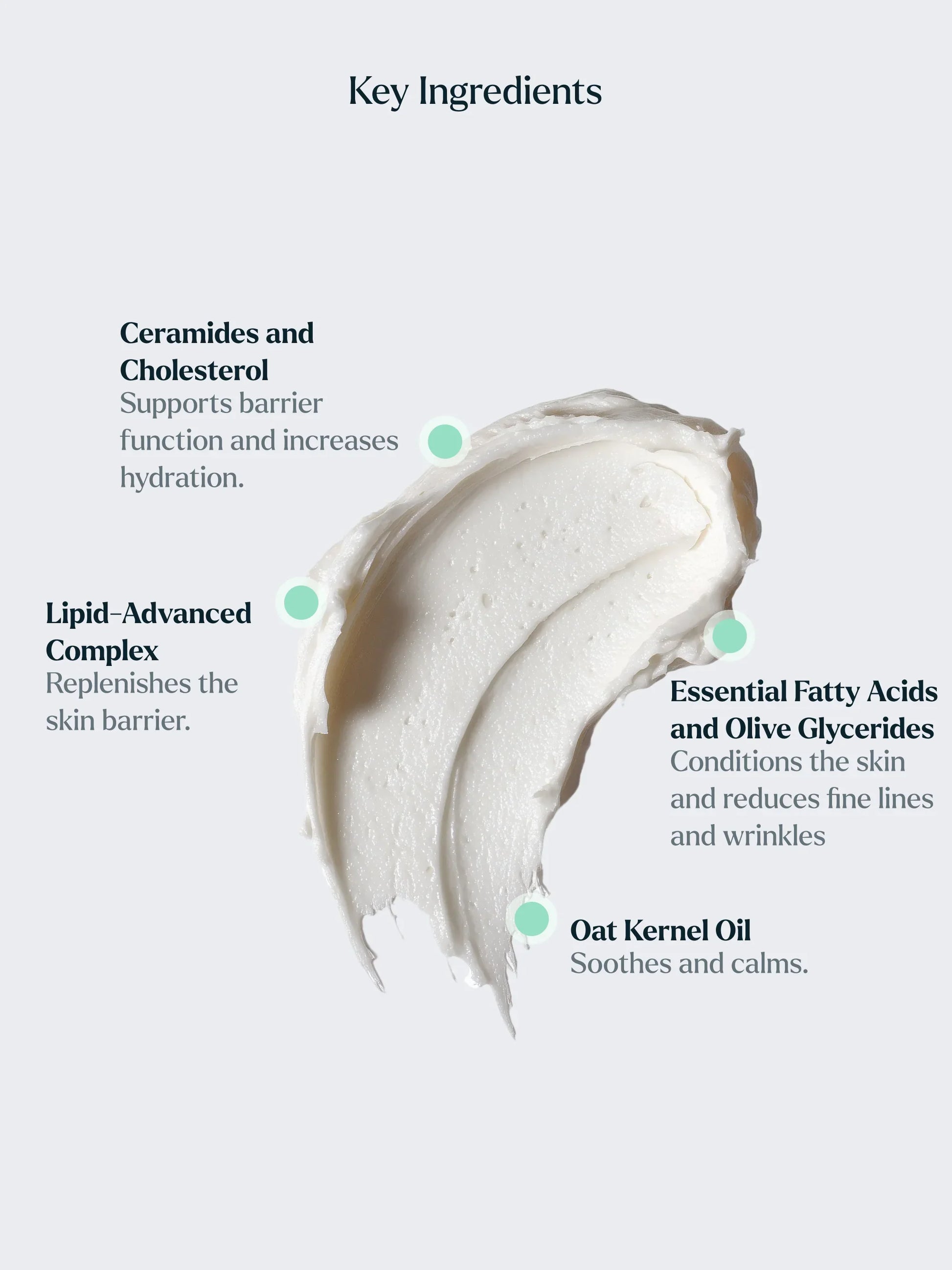 Water And Lipid Function in Skin Barrier: Moisture Vs Fat Balance Water And Lipid Function in Skin Barrier: Moisture Vs Fat Balance