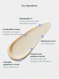 The Support Serum Refill
